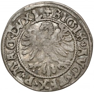 Zikmund II Augustus, půlpenny Vilnius 1546 - raný typ - ex. Kalkowski