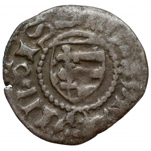 Moldavian Hospodardom, Stefan III (?), Suceava penny