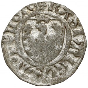 Casimir IV Jagiellonian, the Gdansk Shelagh - double cross / flower