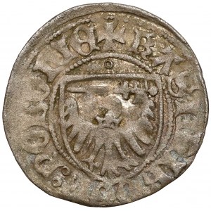 Casimir IV Jagiellonian, Szeląg Toruń - 2x KASIMIR - b.rare