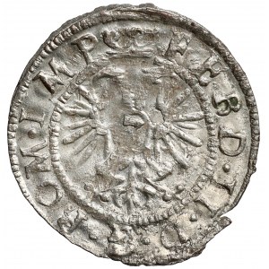 Silesia, Ferdinand II, Zgorzelec 1622 kiper penny - very rare