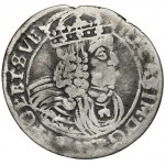 Johannes II Casimir, Six Pack Lvov AT - OHNE DATUM - sehr selten
