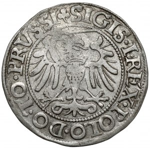 Sigismund I the Old, Elblag 1540 - last penny