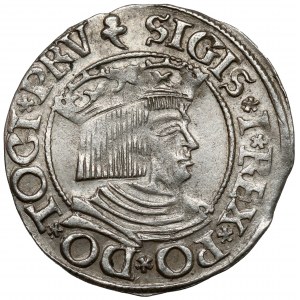 Sigismund I. der Alte, Danziger Pfennig 1535 - früh - schön