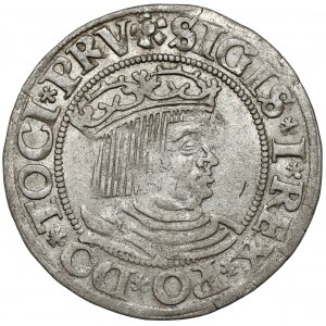Zikmund I. Starý, Grosz Gdaňsk 1531 - PRV