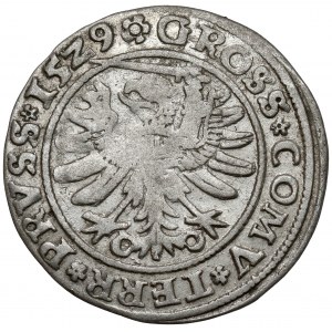 Sigismund I. der Alte, Grosz Toruń 1529