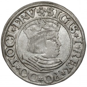 Žigmund I. Starý, Grosz Gdańsk 1531 - PRV