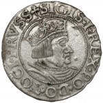 Sigismund I. der Alte, Danziger Pfennig 1535 - CIVITA - sehr selten