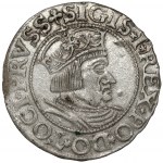 Zygmunt I Stary, Grosz Gdańsk 1535 - CIVITA - b.rzadki