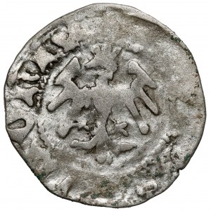 Ladislaus II Jagiello, Halbpfennig Krakau - Typ 18 - Zeichen ‡ (ohne F oder W) - sehr selten