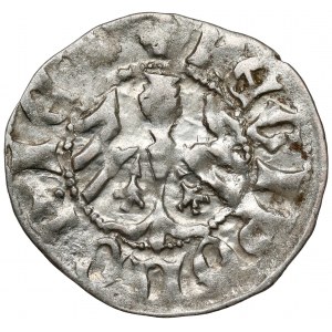 Wladyslaw II Jagiello, Cracow half-penny - type 11 - REGI - rarity