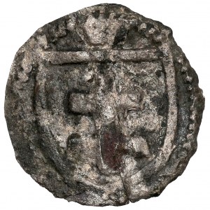 Ladislaus II Jagiello, Denar Wschowa - Buchstabe W