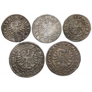 Sigismund I the Old, from a shekel to a penny 1509-1529, including Gothic (5pc)