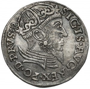 Zygmunt II August, Trojak Gdańsk 1557 - rzadki