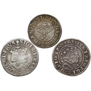 Žigmund I. Starý, šiling a groše 1530-1540, sada (3ks)