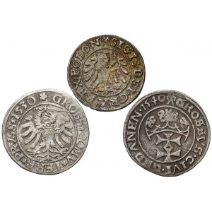 Zikmund I. Starý, šilink a groše 1530-1540, sada (3ks)