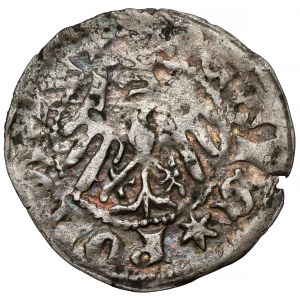 Ladislaus II Jagiello, Half-penny Cracow - type 7 - without sign