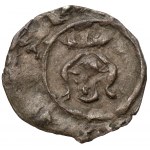 Kazimír III Veľký, krakovský denár bez dátumu - ex. Herstal
