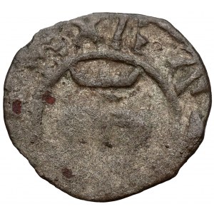 Kazimír III Veľký, krakovský denár bez dátumu - REX POLON