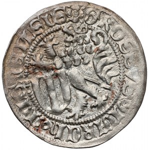 Meissen, Fridrich II. a Viliam III. (1442-1445) Penny
