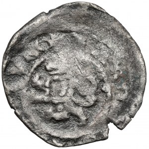 Čechy, Ján I. Luxemburský (1310-1346) Parvus