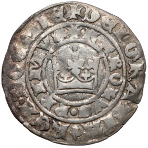 Čechy, Karol IV. Luxemburský (1346-1378) Pražský groš