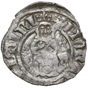 Kasimir III. der Große, Krakauer Halbpfennig (ohne Datum)