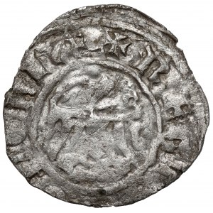 Kazimír III Veliký, krakovský půlpenny (bez data)