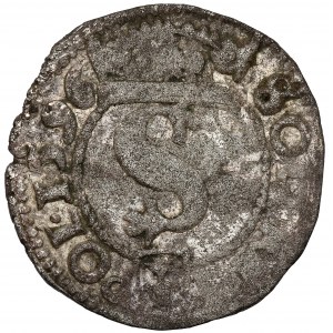 Sigismondo III Vasa, Wschowa 1596