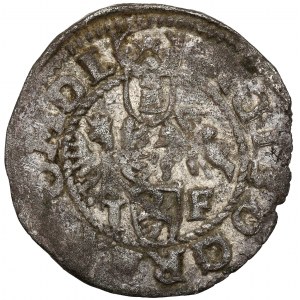 Sigismondo III Vasa, Wschowa 1596