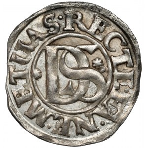 Pommern, Fürsten der Walachei, Philipp Julius, Doppelschekel 1617, Nowopole