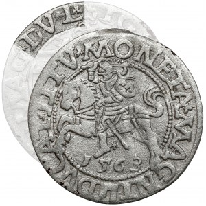 Sigismund II. Augustus, Wilnaer Halbpfennig 1563 - DV*L - sehr selten