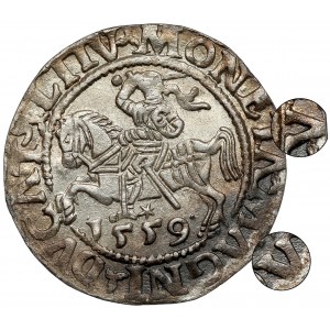 Zikmund II August, půlpenny Vilnius 1559 - A bez paprsků - vzácný