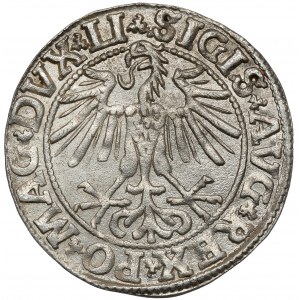 Zygmunt II August, Półgrosz Wilno 1550