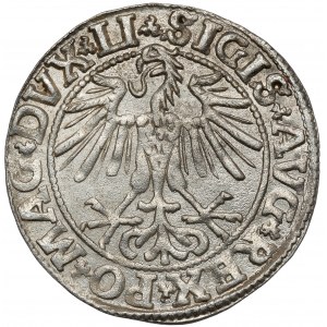 Sigismund II Augustus, Half-grosz Vilnius 1550