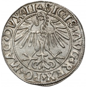 Zikmund II August, půlpenny Vilnius 1550