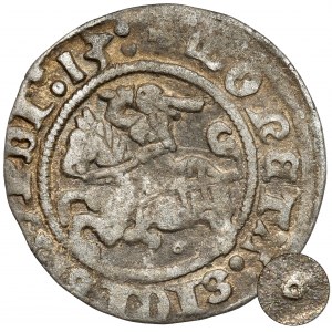 Sigismund I. der Alte, halber Pfennig Vilnius 1513 - Kreis unter dem Pogon - sehr selten