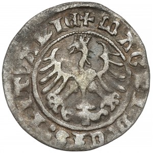 Zikmund I. Starý, půlgroš Vilnius 1513 - kruh pod Pogonem - velmi vzácný