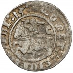 Sigismund I. der Alte, halber Pfennig Vilnius 1513 - Kreis unter dem Pogon - sehr selten