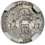 Sigismund III Vasa, Zwei-Dollar-Wilnius 1611 - Falscher Nennwert III - sehr selten
