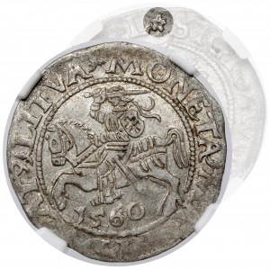 Sigismund II Augustus, halber Pfennig Vilnius 1560 - ROZETA