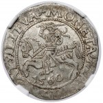 Sigismund II Augustus, halber Pfennig Vilnius 1560 - ROZETA
