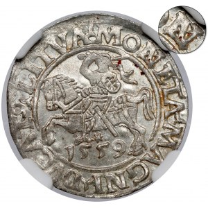 Sigismund II. Augustus, halber Pfennig Vilnius 1559 - durchstochenes N