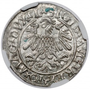 Zygmunt II August, Półgrosz Wilno 1559 - przebite N - piękny