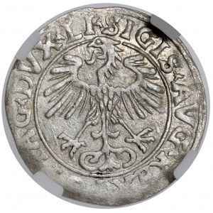 Zikmund II August, půlpenny Vilnius 1556 - chyba MANI