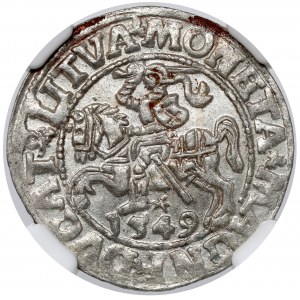 Sigismund II Augustus, halber Pfennig Vilnius 1549 - L - geprägt