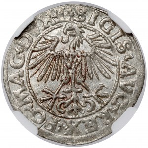 Sigismund II Augustus, Half-penny Vilnius 1549 - L - minted