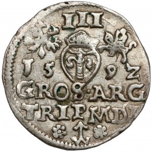 Sigismund III. Vasa, Troika Vilnius 1592