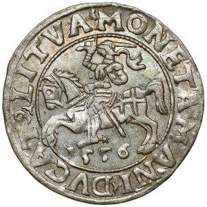 Sigismund II Augustus, halber Pfennig Vilnius 1556 - schön