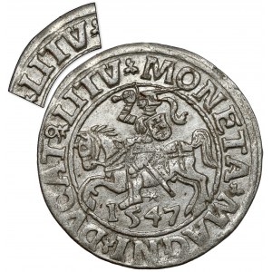 Sigismund II Augustus, halber Pfennig Vilnius 1547 - LITV - sehr selten